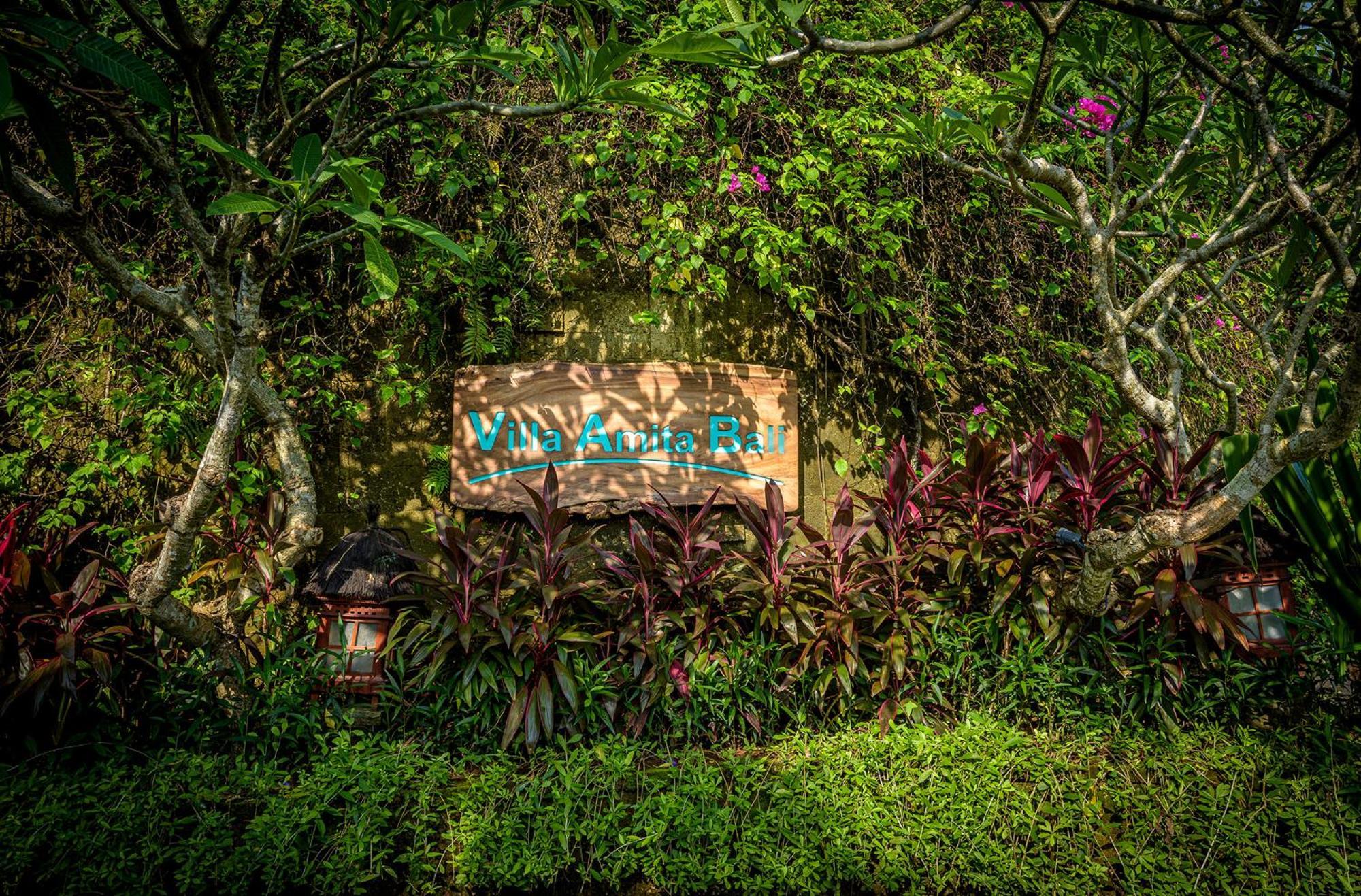 Amita On The Bukit, Pandawa